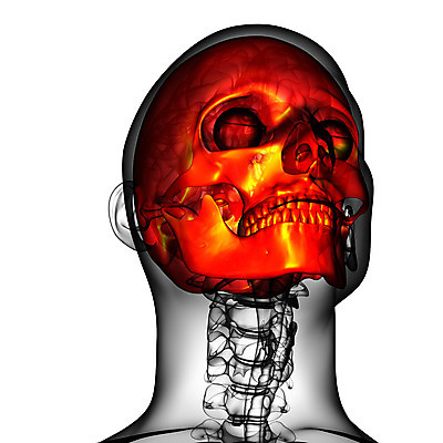 포토 JPG 해외이미지 해부 뼈 골격 건강 사람 사람없음 머리 죽음 턱 해골모형 해외202004 해외포토 의학 신체부위 모형 파일형식