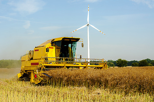 포토 JPG 해외이미지 산업 밭 농업 씨앗 풍경 초원 사람없음 야외 농작물 농장 농경지 수확 추수 가을 밀 트랙터 밀짚 밭일 호밀 해외202004 해외포토 식물 계절 곡류 짚 농기계 특수차량 파일형식