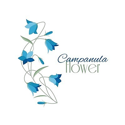 EPS 해외이미지 식물 디자인 계절 꽃 줄기 꽃다발 백그라운드 잎 꽃무늬 패턴 일러스트 자연 그래픽 장식 초록색 여름 파란색 봄 들꽃 벚꽃 종 흰색 나뭇가지 붓 화려 인쇄 그림 윤곽 초대 내추럴 고립 구성 블루벨 엘리먼트 캄파눌라 스타일 해외202004 해외일러스트 나무 컬러 컨셉 무늬 생태계 파일형식 벡터