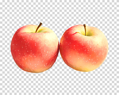 편집이미지 누끼 사람없음 두개 사과 PNG 편집소스 2 과일 파일형식
