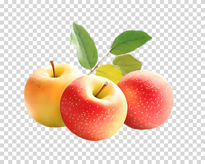 편집이미지 잎 누끼 사람없음 세개 사과 PNG 편집소스 식물 과일 3 파일형식