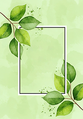 JPG 일러스트 나뭇잎 사각프레임 사람없음 초록색 카피스페이스 국내일러스트 AI일러스트 AI콘텐츠 컬러 잎 프레임 사각형 공백 파일형식