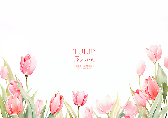 PSD 분홍색 잎 일러스트 사람없음 튤립 꽃프레임 카피스페이스 국내일러스트 식물 꽃 컬러 프레임 공백 파일형식