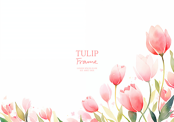PSD 분홍색 잎 일러스트 사람없음 튤립 꽃프레임 카피스페이스 국내일러스트 식물 꽃 컬러 프레임 공백 파일형식