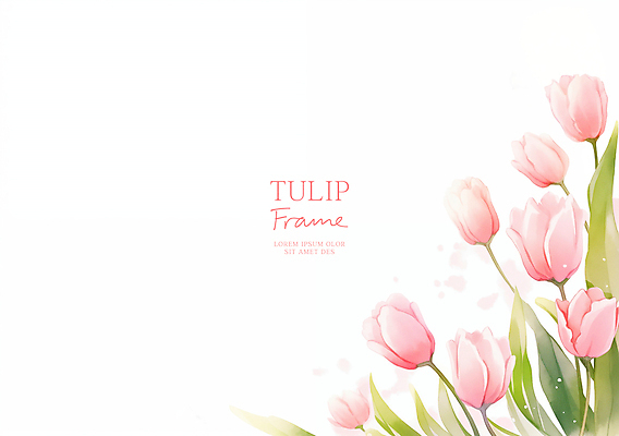 PSD 분홍색 잎 일러스트 사람없음 튤립 꽃프레임 카피스페이스 국내일러스트 식물 꽃 컬러 프레임 공백 파일형식