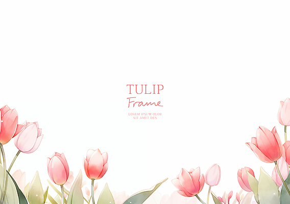 PSD 분홍색 잎 일러스트 사람없음 튤립 꽃프레임 카피스페이스 국내일러스트 식물 꽃 컬러 프레임 공백 파일형식