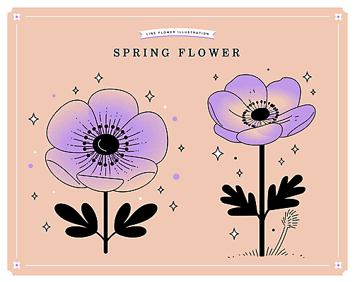 잎 일러스트 봄꽃 사람없음 반짝임 보라색 라인아트 다홍색 아네모네 엘리먼트 국내일러스트 AI파일 식물 꽃 선 컬러 모션 봄 파일형식 벡터