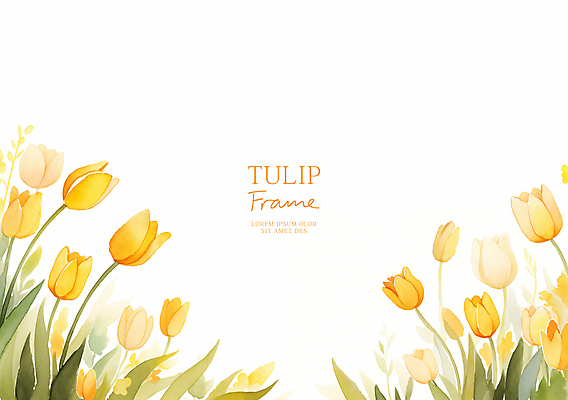 PSD 잎 일러스트 수채화 사람없음 노란색 봄 튤립 꽃프레임 카피스페이스 국내일러스트 식물 계절 꽃 컬러 프레임 공백 파일형식
