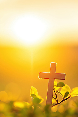 JPG 편집이미지 기독교 자연 나뭇잎 사람없음 빛 햇빛 노란색 평화 노을 믿음 봄풍경 천주교 나뭇가지 나무십자가 편집실사 AI포토 AI콘텐츠 자연요소 나무 감정 종교 컬러 컨셉 십자가 잎 풍경 태양 봄 CG 생태계 파일형식