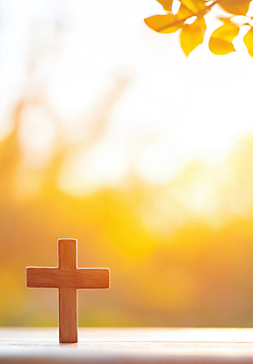JPG 편집이미지 기독교 자연 나뭇잎 사람없음 빛 햇빛 노란색 평화 노을 믿음 봄풍경 천주교 나무십자가 편집실사 AI포토 AI콘텐츠 자연요소 감정 종교 컬러 컨셉 십자가 잎 풍경 태양 봄 CG 생태계 파일형식