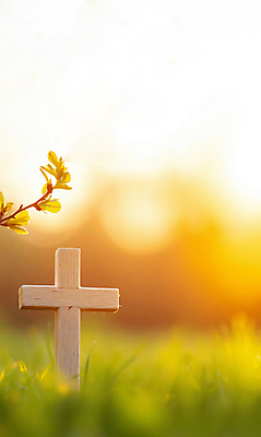 JPG 편집이미지 기독교 자연 나뭇잎 잔디 사람없음 빛 햇빛 노란색 평화 노을 믿음 봄풍경 천주교 나무십자가 편집실사 AI포토 AI콘텐츠 자연요소 식물 감정 종교 컬러 컨셉 십자가 잎 풍경 태양 봄 CG 생태계 파일형식