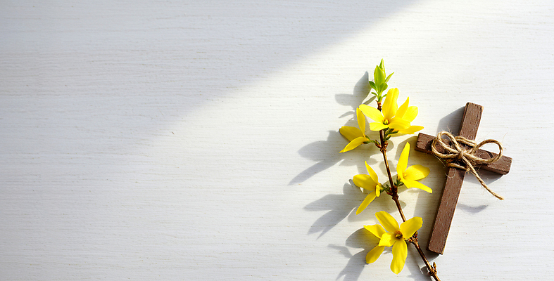 JPG 편집이미지 리본 기독교 그림자 사람없음 천주교 나뭇가지 개나리 노끈 나무십자가 편집실사 AI포토 AI콘텐츠 나무 꽃 종교 줄 십자가 CG 파일형식