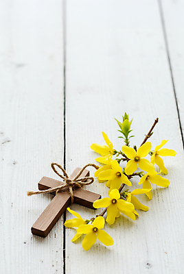 JPG 편집이미지 리본 기독교 사람없음 천주교 나뭇가지 개나리 나무바닥 노끈 나무십자가 편집실사 AI포토 AI콘텐츠 나무 꽃 종교 줄 십자가 바닥 CG 파일형식