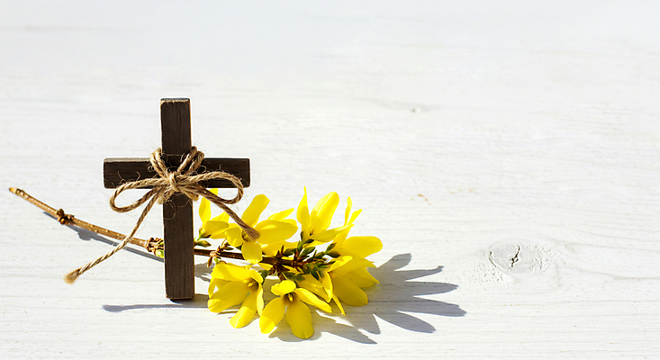 JPG 편집이미지 리본 기독교 그림자 사람없음 천주교 나뭇가지 개나리 나무바닥 노끈 나무십자가 편집실사 AI포토 AI콘텐츠 나무 꽃 종교 줄 십자가 바닥 CG 파일형식