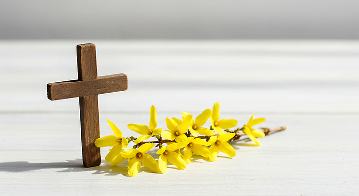 JPG 편집이미지 기독교 그림자 사람없음 천주교 나뭇가지 개나리 노끈 나무십자가 편집실사 AI포토 AI콘텐츠 나무 꽃 종교 줄 십자가 CG 파일형식