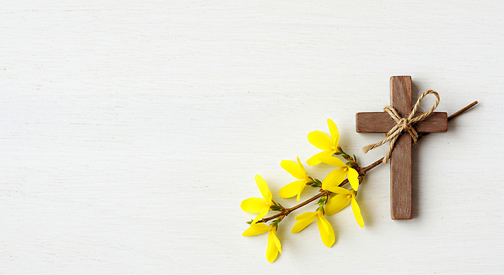 JPG 편집이미지 리본 기독교 사람없음 천주교 나뭇가지 개나리 노끈 나무십자가 편집실사 AI포토 AI콘텐츠 나무 꽃 종교 줄 십자가 CG 파일형식