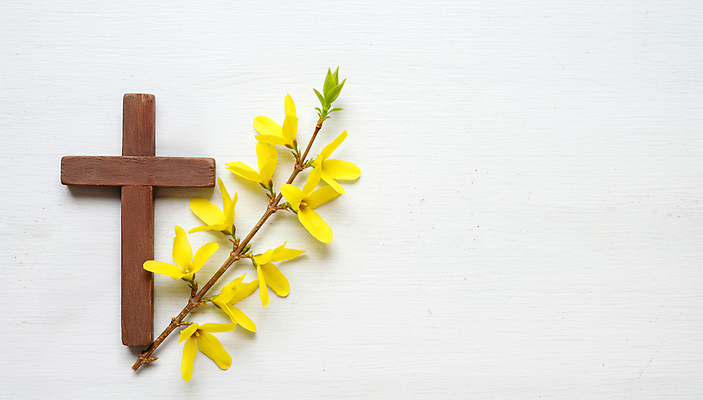 JPG 편집이미지 기독교 사람없음 천주교 나뭇가지 개나리 노끈 나무십자가 편집실사 AI포토 AI콘텐츠 나무 꽃 종교 줄 십자가 CG 파일형식