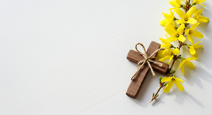 JPG 편집이미지 리본 기독교 사람없음 천주교 나뭇가지 개나리 노끈 나무십자가 편집실사 AI포토 AI콘텐츠 나무 꽃 종교 줄 십자가 CG 파일형식