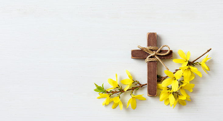 JPG 편집이미지 리본 기독교 사람없음 천주교 나뭇가지 개나리 노끈 나무십자가 편집실사 AI포토 AI콘텐츠 나무 꽃 종교 줄 십자가 CG 파일형식