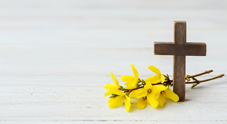 JPG 편집이미지 기독교 사람없음 천주교 나뭇가지 개나리 노끈 나무십자가 편집실사 AI포토 AI콘텐츠 나무 꽃 종교 줄 십자가 CG 파일형식