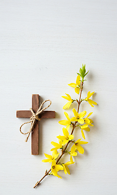 JPG 편집이미지 리본 기독교 사람없음 천주교 나뭇가지 개나리 노끈 나무십자가 편집실사 AI포토 AI콘텐츠 나무 꽃 종교 줄 십자가 CG 파일형식