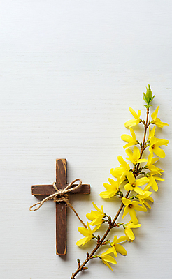 JPG 편집이미지 리본 기독교 사람없음 천주교 나뭇가지 개나리 노끈 나무십자가 편집실사 AI포토 AI콘텐츠 나무 꽃 종교 줄 십자가 CG 파일형식