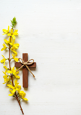 JPG 편집이미지 리본 기독교 사람없음 천주교 나뭇가지 개나리 노끈 나무십자가 편집실사 AI포토 AI콘텐츠 나무 꽃 종교 줄 십자가 CG 파일형식