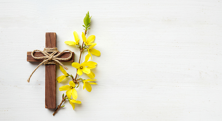 JPG 편집이미지 리본 기독교 사람없음 천주교 나뭇가지 개나리 노끈 나무십자가 편집실사 AI포토 AI콘텐츠 나무 꽃 종교 줄 십자가 CG 파일형식