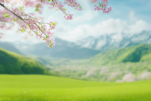 JPG 구름 편집이미지 봄꽃 자연 하늘 산 잔디 초원 사람없음 봄풍경 벚나무 화창 편집실사 AI포토 AI콘텐츠 자연요소 나무 식물 꽃 날씨 풍경 봄 벚꽃 CG 생태계 파일형식