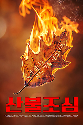 PSD 편집이미지 포스터 불꽃 나뭇잎 건조 경고 사람없음 자연보호 연기 조심 산불 불조심 화재예방 이미지편집 잎 자연 불 보호 예방 화재 파일형식