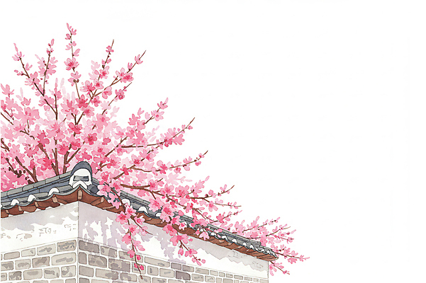 JPG 일러스트 봄꽃 수채화 한옥 꽃나무 사람없음 봄풍경 기와담장 국내일러스트 AI일러스트 AI콘텐츠 나무 한국전통 꽃 고건축 기와 풍경 담장 봄 파일형식