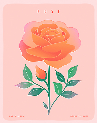 포스터 분홍색 잎 한송이 일러스트 사람없음 장미 꽃봉오리 국내일러스트 AI파일 식물 1 꽃 컬러 송이 파일형식 벡터