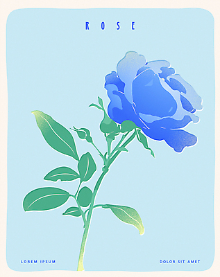 포스터 잎 한송이 일러스트 사람없음 파란색 장미 국내일러스트 AI파일 식물 1 꽃 컬러 송이 파일형식 벡터