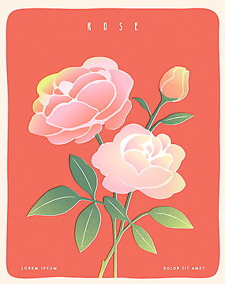 포스터 잎 일러스트 사람없음 빨간색 장미 두송이 꽃봉오리 국내일러스트 AI파일 식물 꽃 컬러 2 파일형식 벡터