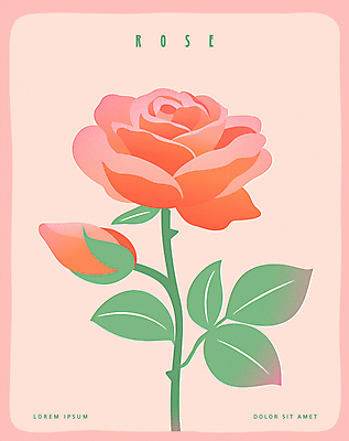 포스터 분홍색 잎 한송이 일러스트 사람없음 장미 꽃봉오리 국내일러스트 AI파일 식물 1 꽃 컬러 송이 파일형식 벡터