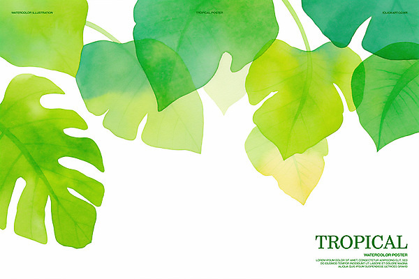 PSD 가로배너 일러스트 열대 수채화 사람없음 초록색 여름 열대식물 몬스테라 트로피컬아트 국내일러스트 식물 배너 계절 컬러 가로 그림 파일형식