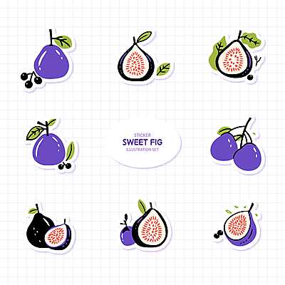 열매 스티커 잎 일러스트 단면 사람없음 세트 보라색 무화과 엘리먼트 국내일러스트 AI파일 식물 컬러 과일 파일형식 벡터