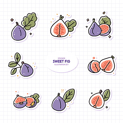 열매 스티커 잎 일러스트 단면 사람없음 세트 보라색 무화과 엘리먼트 국내일러스트 AI파일 식물 컬러 과일 파일형식 벡터