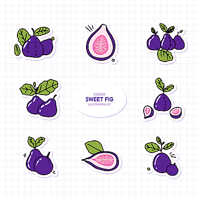 열매 스티커 잎 일러스트 단면 사람없음 세트 보라색 무화과 엘리먼트 국내일러스트 AI파일 식물 컬러 과일 파일형식 벡터