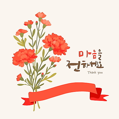 리본 꽃다발 일러스트 나뭇잎 사람없음 빨간색 어버이날 스승의날 카네이션 감사 가정의달 국내일러스트 AI파일 기념일 꽃 감정 컬러 잎 5월 파일형식 벡터