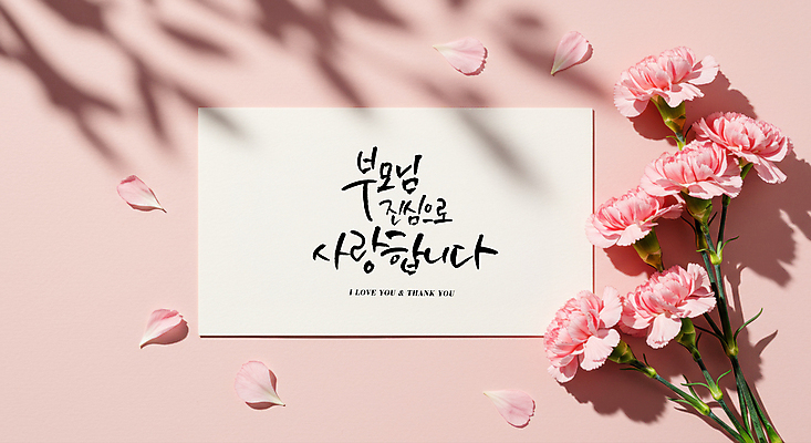 PSD 편집이미지 꽃잎 분홍색 그림자 사랑 글자캘리그라피 사람없음 부모 마음 어버이날 편지 카네이션 가정의달 이미지편집 편집실사 기념일 꽃 감정 컬러 캘리그라피 가족 5월 CG 파일형식