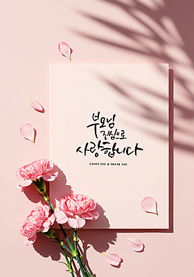 PSD 편집이미지 꽃잎 분홍색 그림자 사랑 글자캘리그라피 사람없음 부모 마음 어버이날 편지 카네이션 가정의달 이미지편집 편집실사 기념일 꽃 감정 컬러 캘리그라피 가족 5월 CG 파일형식