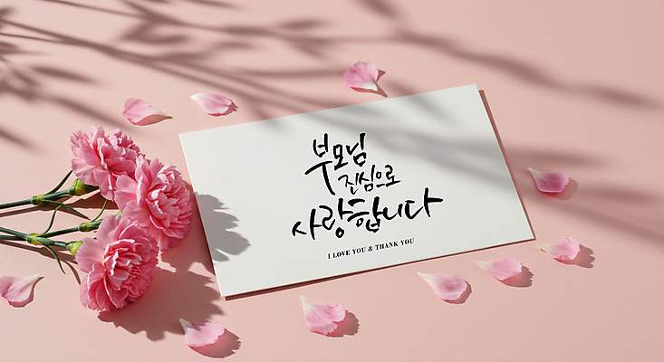 PSD 편집이미지 꽃잎 분홍색 그림자 사랑 글자캘리그라피 사람없음 부모 마음 어버이날 편지 카네이션 가정의달 이미지편집 편집실사 기념일 꽃 감정 컬러 캘리그라피 가족 5월 CG 파일형식