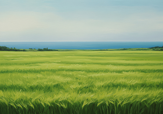 JPG 바다 일러스트 자연 하늘 사람없음 초록색 봄풍경 청보리밭 국내일러스트 AI일러스트 AI콘텐츠 컬러 밭 풍경 봄 생태계 파일형식