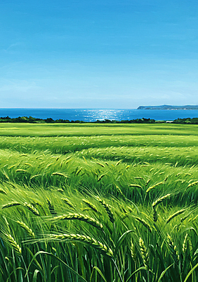 JPG 바다 섬 일러스트 자연 하늘 사람없음 초록색 파란색 봄풍경 청보리밭 국내일러스트 AI일러스트 AI콘텐츠 컬러 밭 풍경 봄 생태계 파일형식