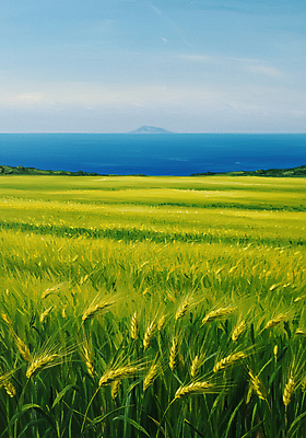 JPG 바다 섬 일러스트 자연 하늘 사람없음 초록색 파란색 봄풍경 청보리밭 국내일러스트 AI일러스트 AI콘텐츠 컬러 밭 풍경 봄 생태계 파일형식