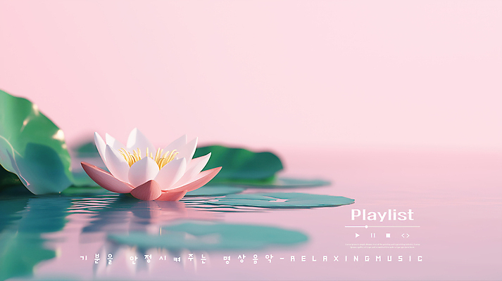 PSD 편집이미지 물결 분홍색 연꽃 사람없음 반사 평화 수면 연잎 플레이리스트 이미지편집 꽃 음악 컬러 컨셉 잎 물 파일형식