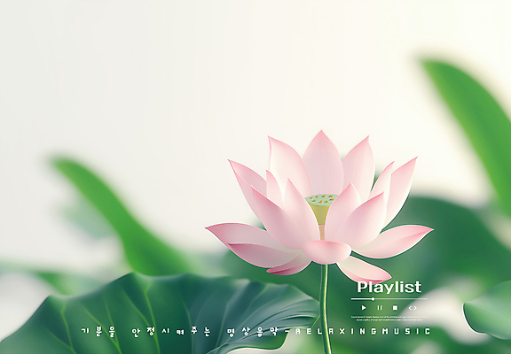 PSD 편집이미지 연꽃 사람없음 평화 연잎 플레이리스트 이미지편집 꽃 음악 컨셉 잎 파일형식