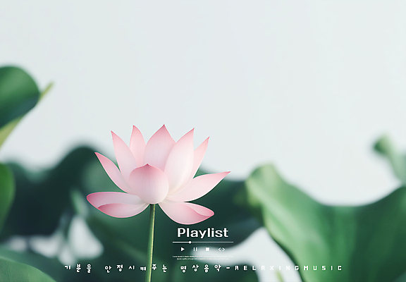 PSD 편집이미지 연꽃 사람없음 평화 연잎 플레이리스트 이미지편집 꽃 음악 컨셉 잎 파일형식