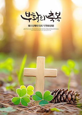 PSD 편집이미지 기독교 부활절 사람없음 햇빛 천주교 예수 축복 클로버 숲 솔방울 솔잎 나무십자가 이미지편집 기념일 종교 컨셉 십자가 잎 태양 신_종교 파일형식